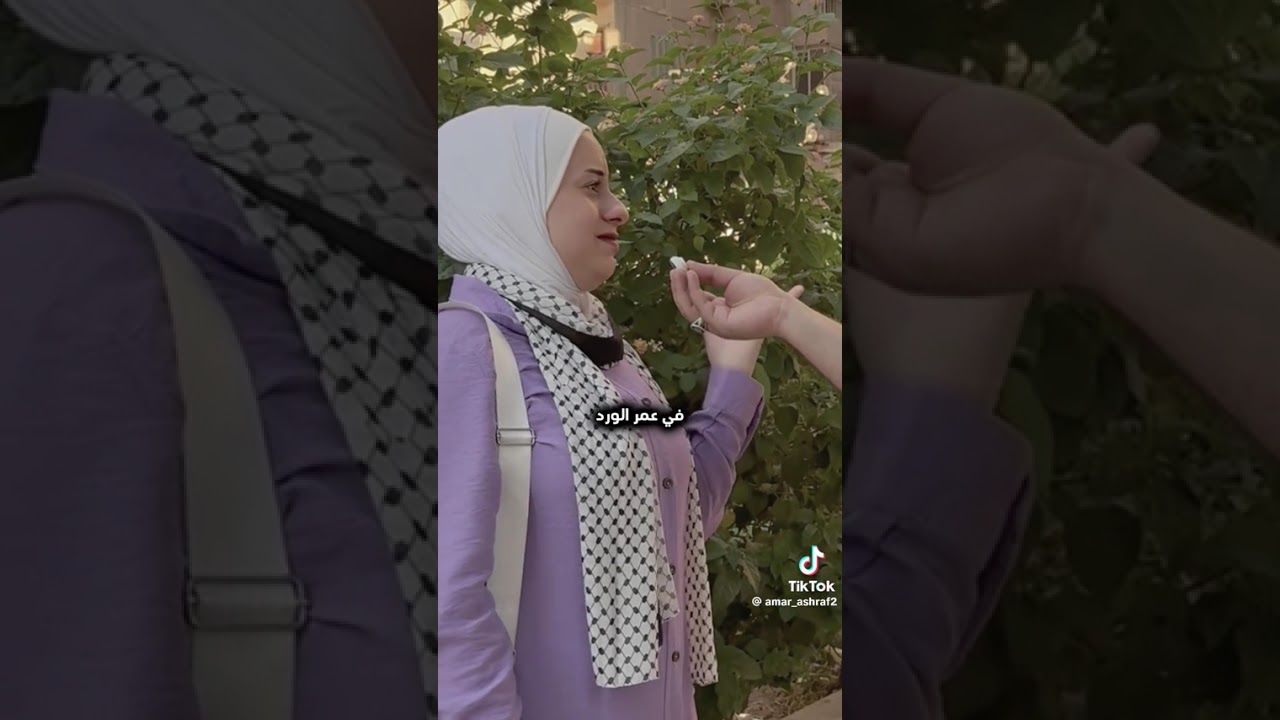 ١١ فبراير ٢٠٢٦