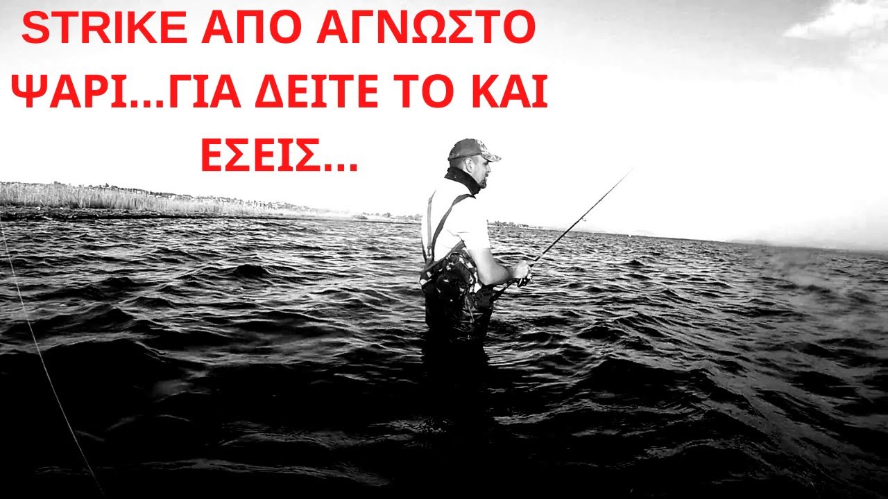 STRIKE ΑΠΟ ΕΝΑ ΜΥΣΤΗΡΙΟ ΨΑΡΙ | ΕΞΟΡΜΗΣΗ ΜΕ ΤΟΝ ΛΑΖΟ... ΨΑΡΕΜΑ ΑΠΟ ΤΟΝ ΑΜΑΖΟΝΙΟ ΣΤΗΝ ΕΛΛΑΔΑ.