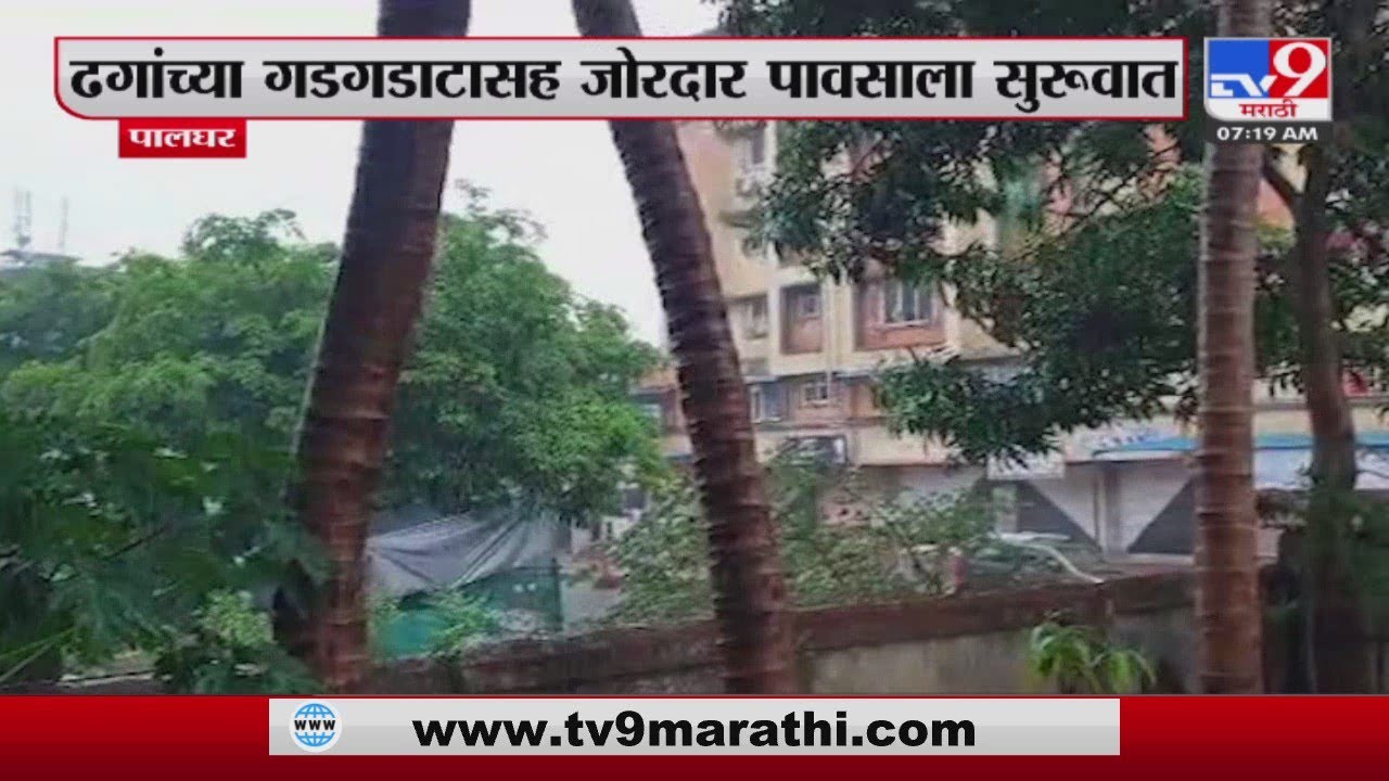Palghar Rain | Rain in Palghar, Vasai-Virar since morning