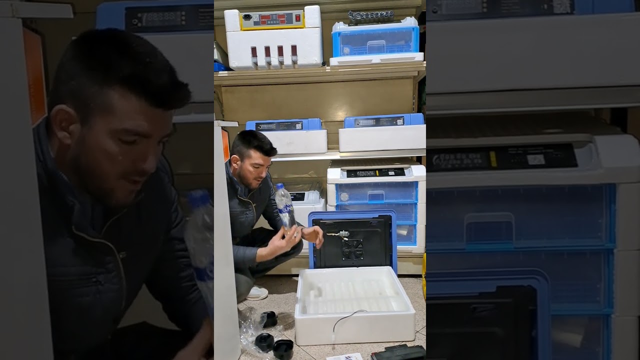 inkubator full automatik adresa fier