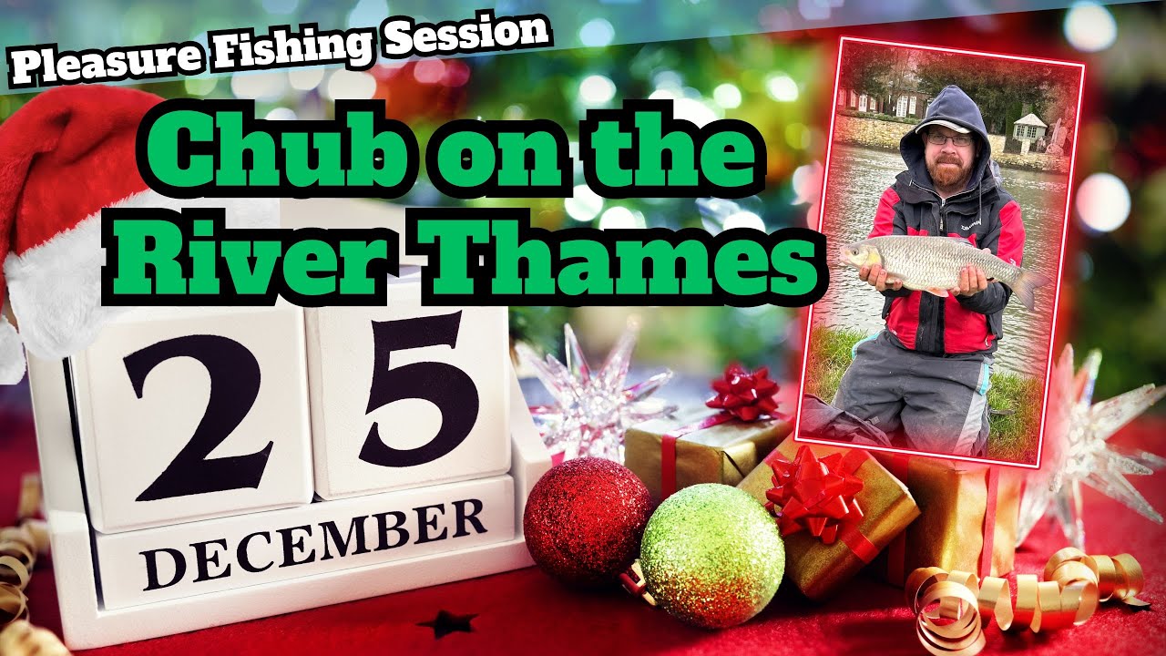 Chub on the Pole Feeder | River Thames at Abingdon | 25/12/2023
