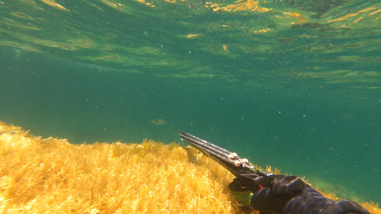 Pesca Sub - Un grilletto morbido - Nuovo Test Cressi Cherokee Fast 90
