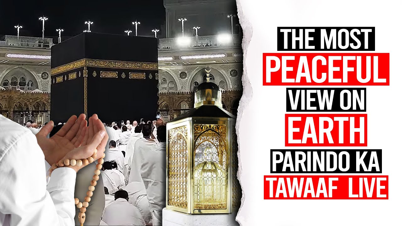 The Most Peaceful View On Earth... Parindo Ka Tawaaf LIVE...