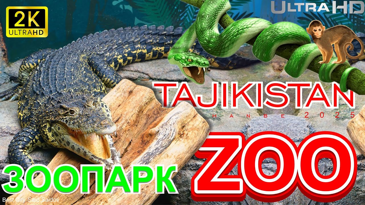 Морхои Боги хайвонот | Змеи Зоопарка Душанбе | Huge snakes in Zoo Tajikistan Dushanbe Саид Саидов