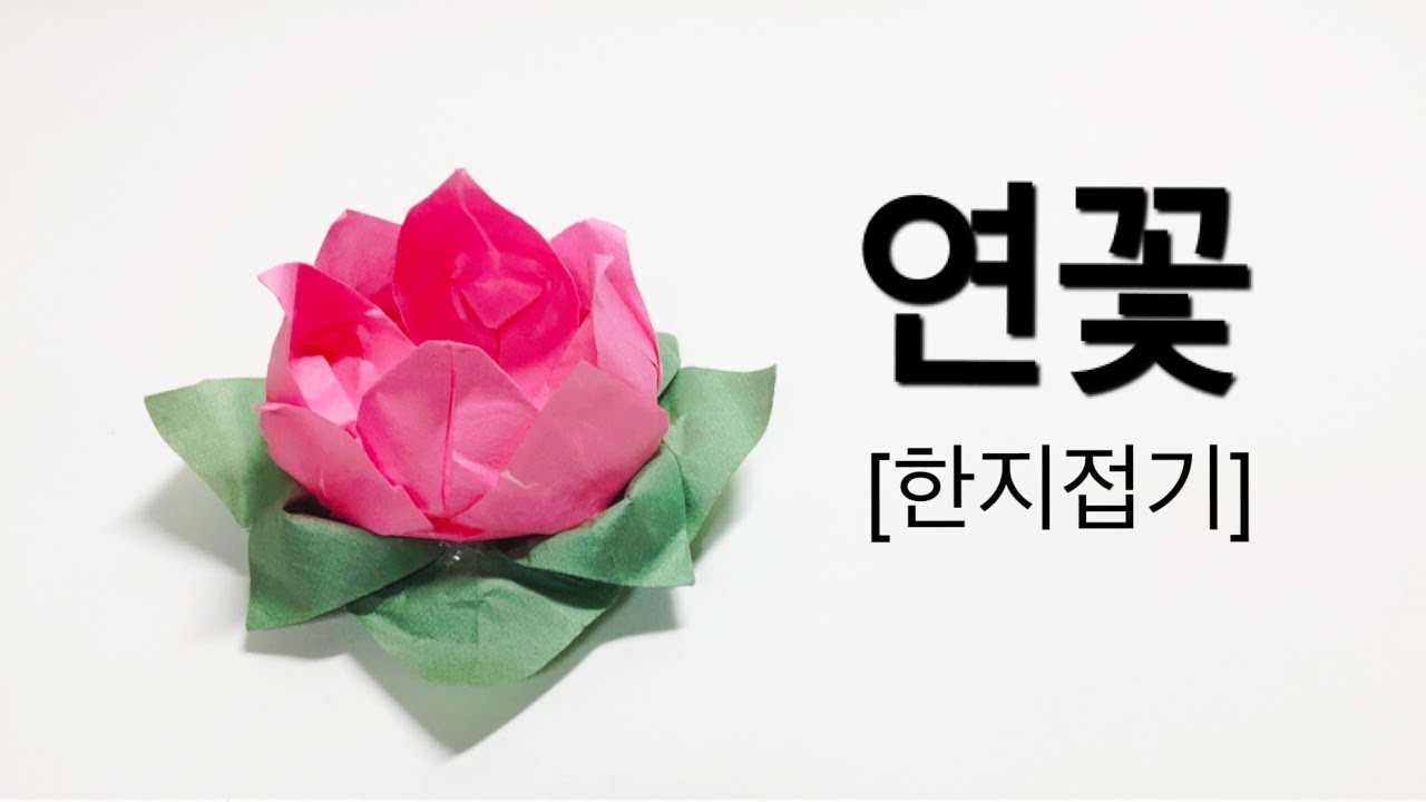 🌺한지로 접어보는 꽃[연꽃접기][꽃접기][종이접기]🌺쉽고 간단한 연꽃접기