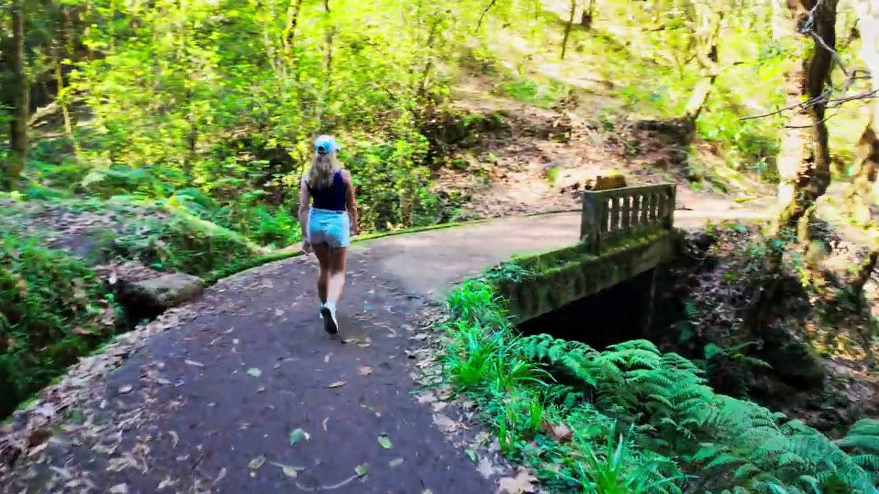 🇵🇹 A Serene Stroll through Ribeiro Frio's Famous Levada, Balcoes (ONE SHOT - NO CUTS - 4K) #walking