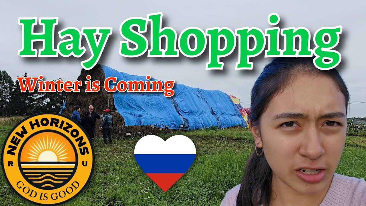 Hay Shopping 🐑 Winter is Coming ❄️ Farming in Russia 🇷🇺 ❤️ 