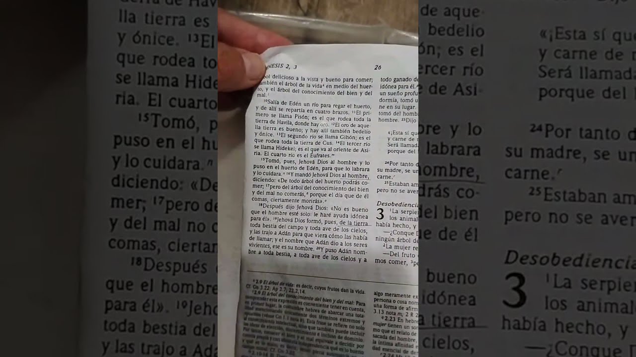 El 6to día de la creación Génesis 1:24-31 y capítulo 2:1-25 #biblia #genesis