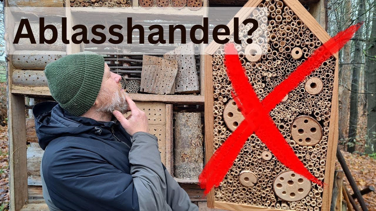 Insektenhotel | Mache diese Fehler nicht