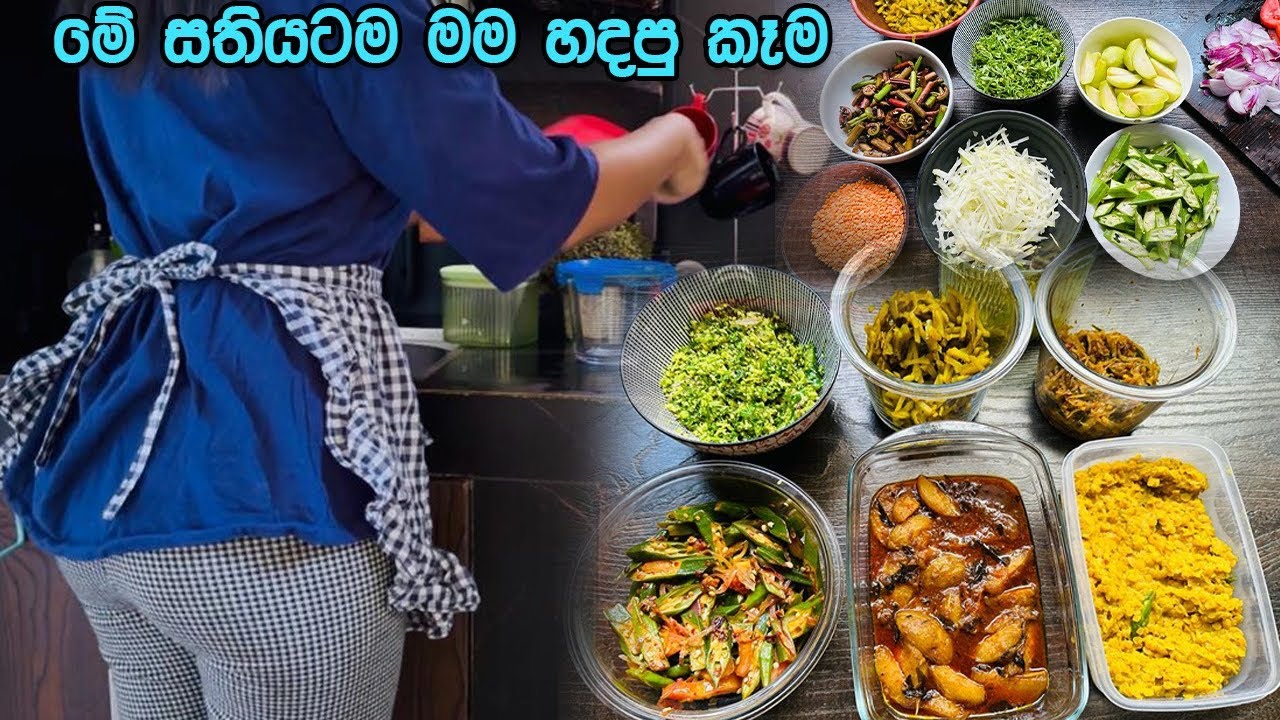 මාත් Meal Prep කරන්න පටන් ගත්තා 😋 සතියටම කෑම හදලත් ඉවරයි 🤩 Meal Preparation for week 👌 BandiFull