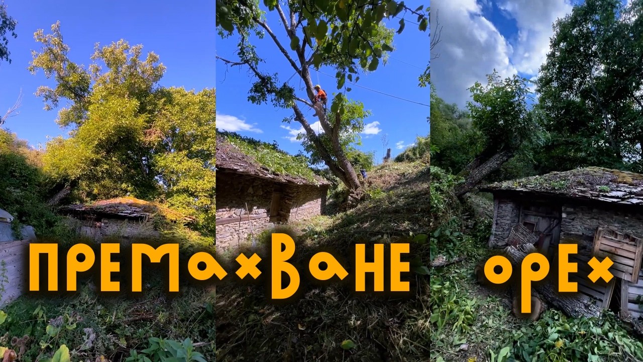 Премахване на наклонен орех над стара плевня