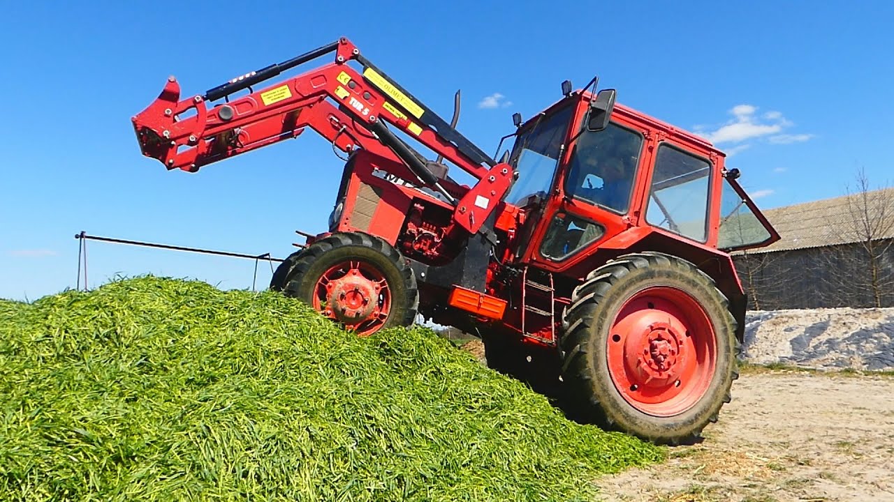 Kiszonka z żyta 2020 |Świętokrzyskie| Nowy nabytek :D Case Farmall 85 MTZ 82 Ursus C360 3P