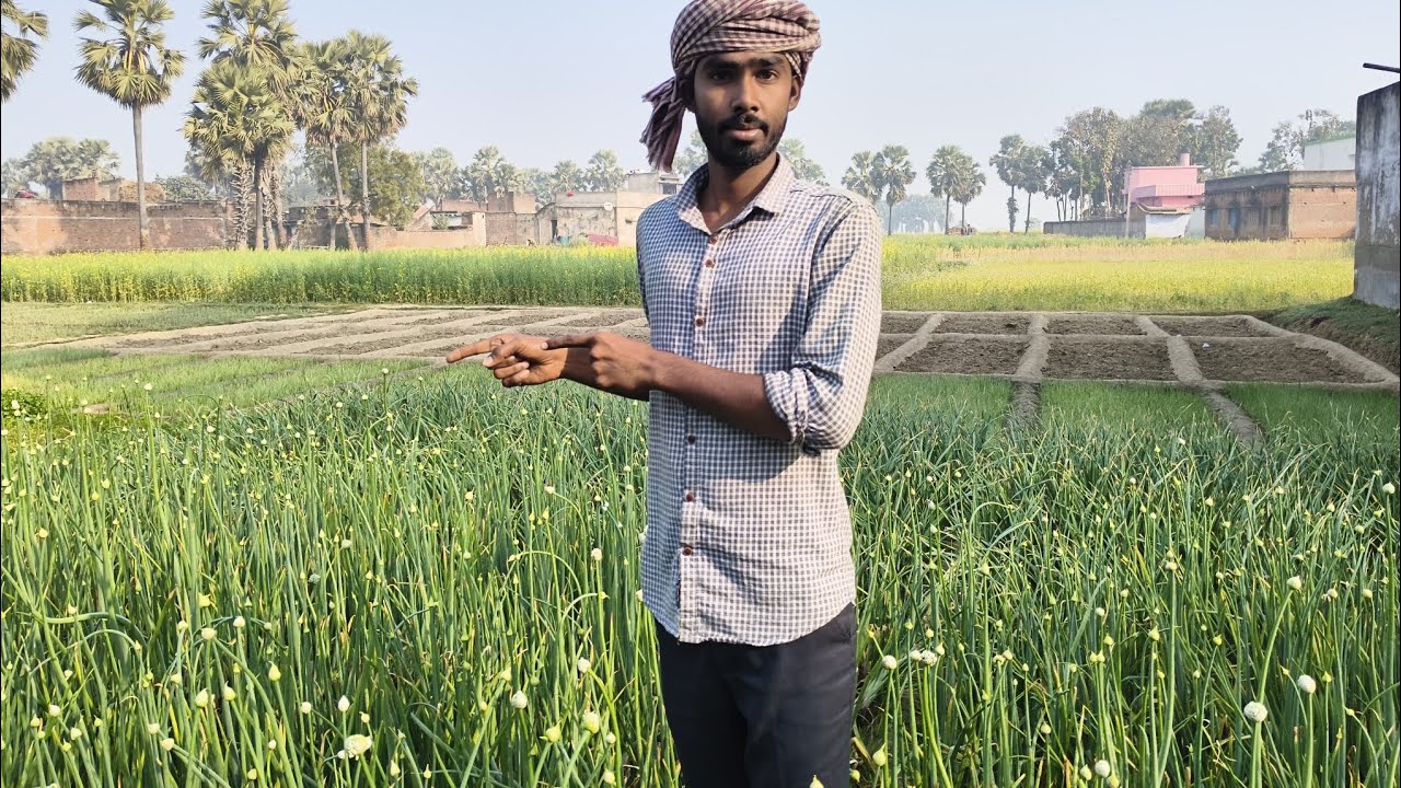 My first blog agriculture #nature 