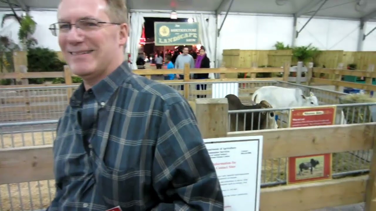 MIAMI FAIR