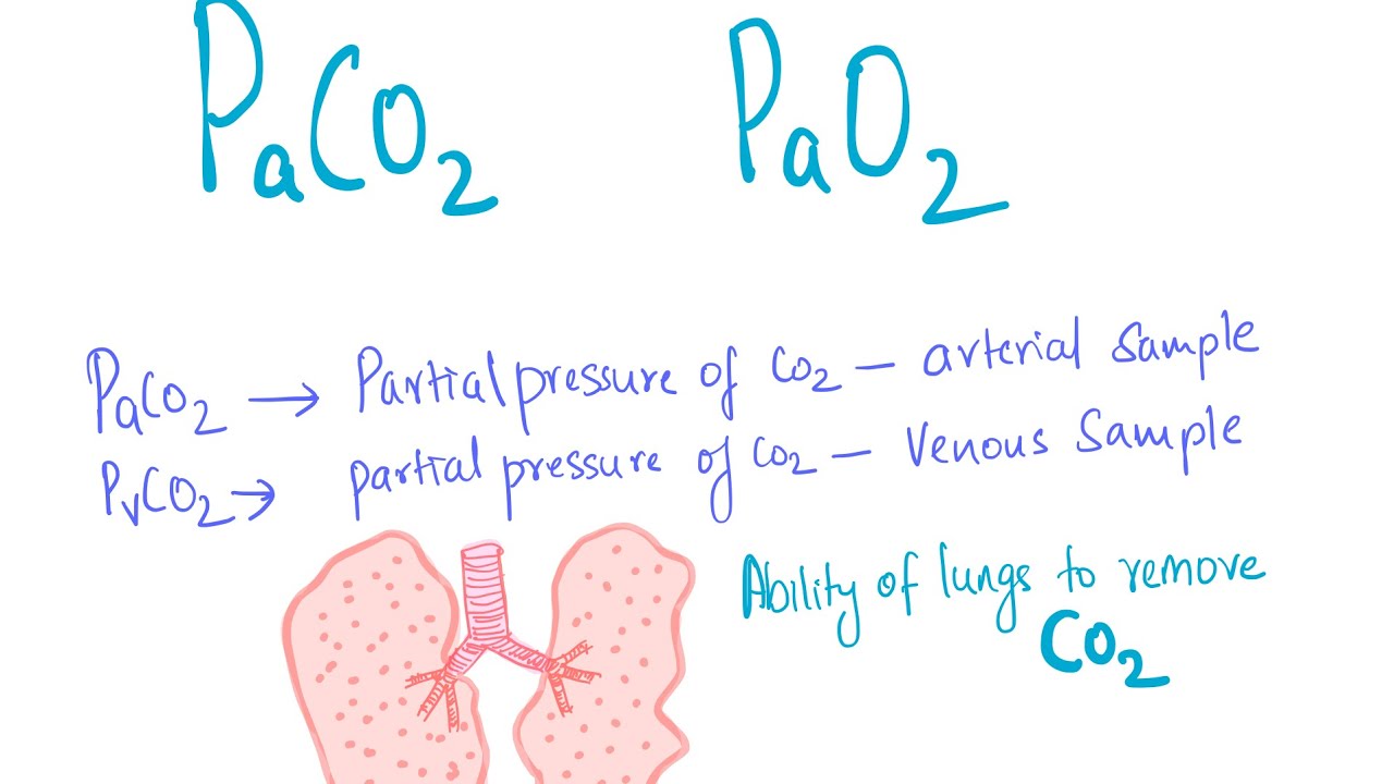 PaCo2 PaO2