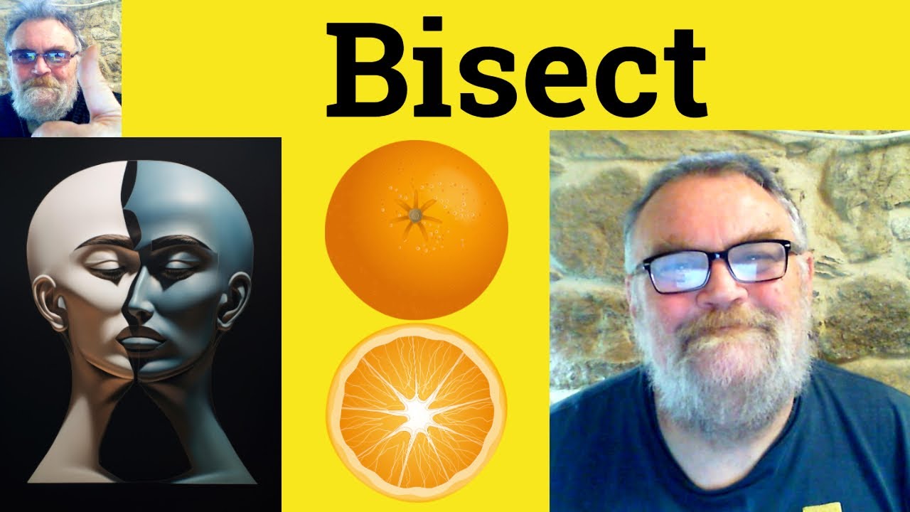 😎 Bisect Meaning - Bisects Definition - Bisected Defined - Bisect Examples Bisect Bisected Bisecting
