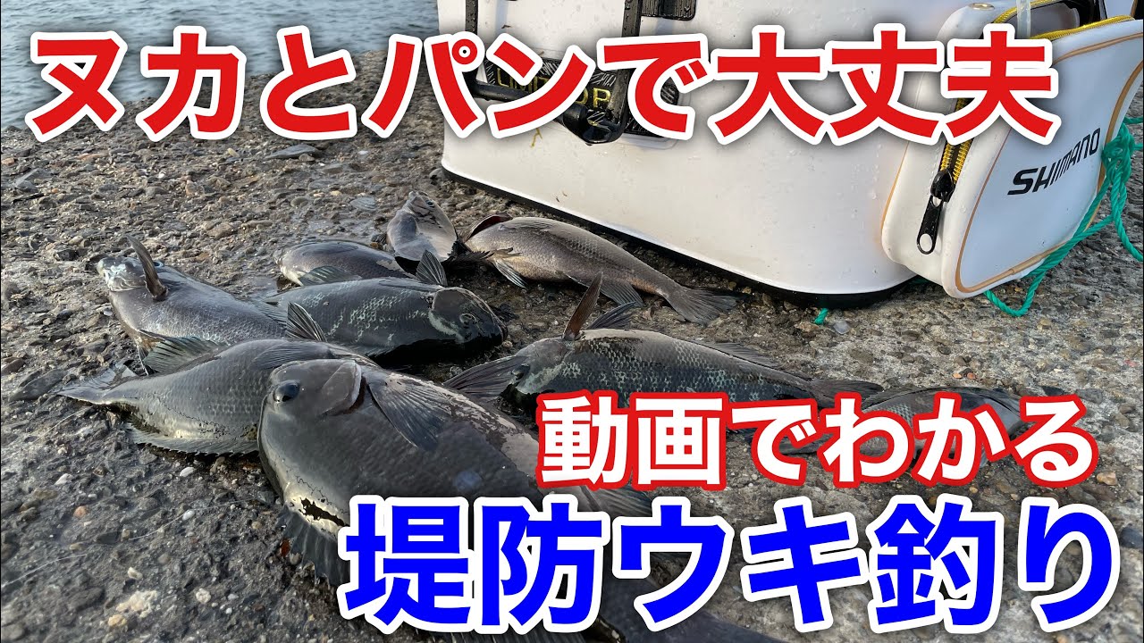 ヌカとパンの餌で波止グレフカセ釣り