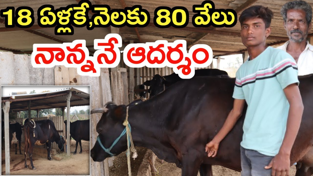 మా నాన్ననే ఆదర్శం small successful dairy farm @MalleshAdla