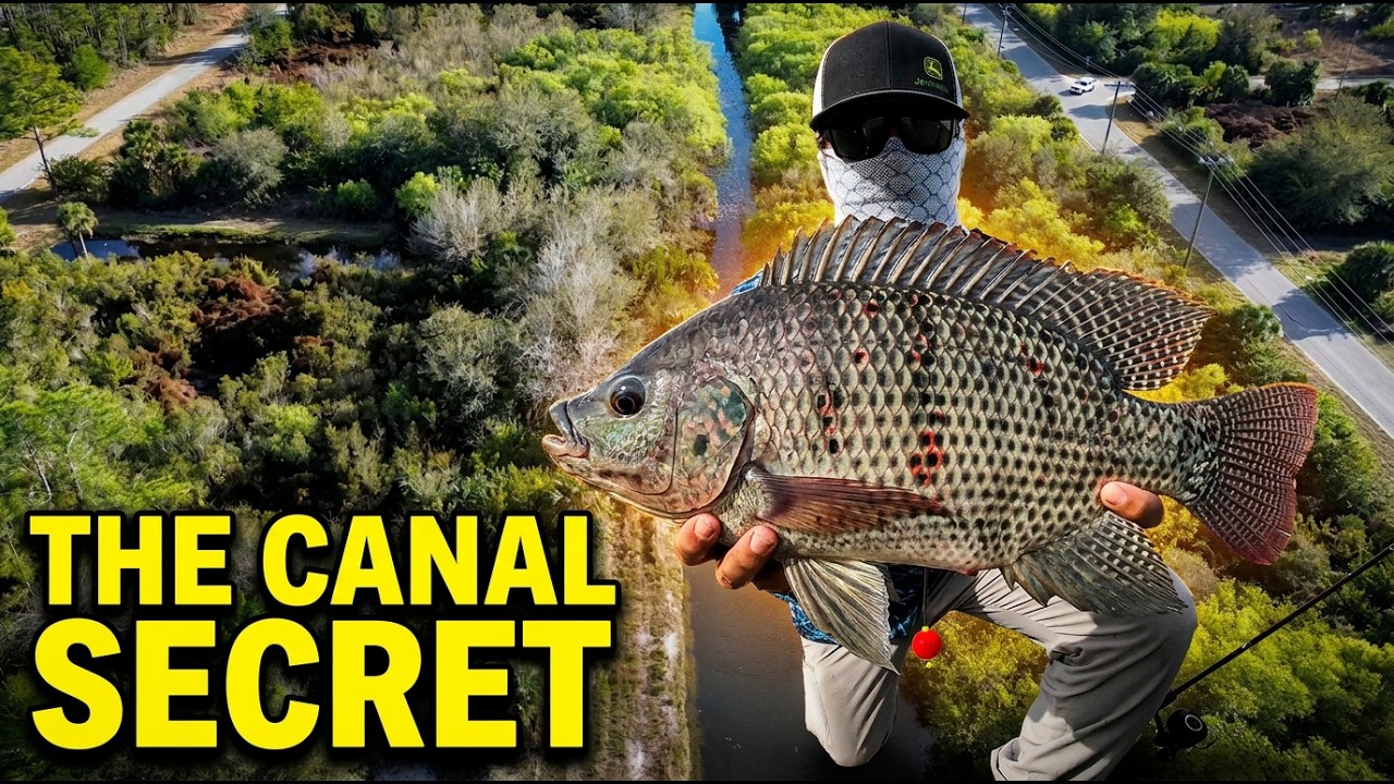 THE SECRET to Catching Elusive Florida Canal Fish (BASS & TILAPIA)