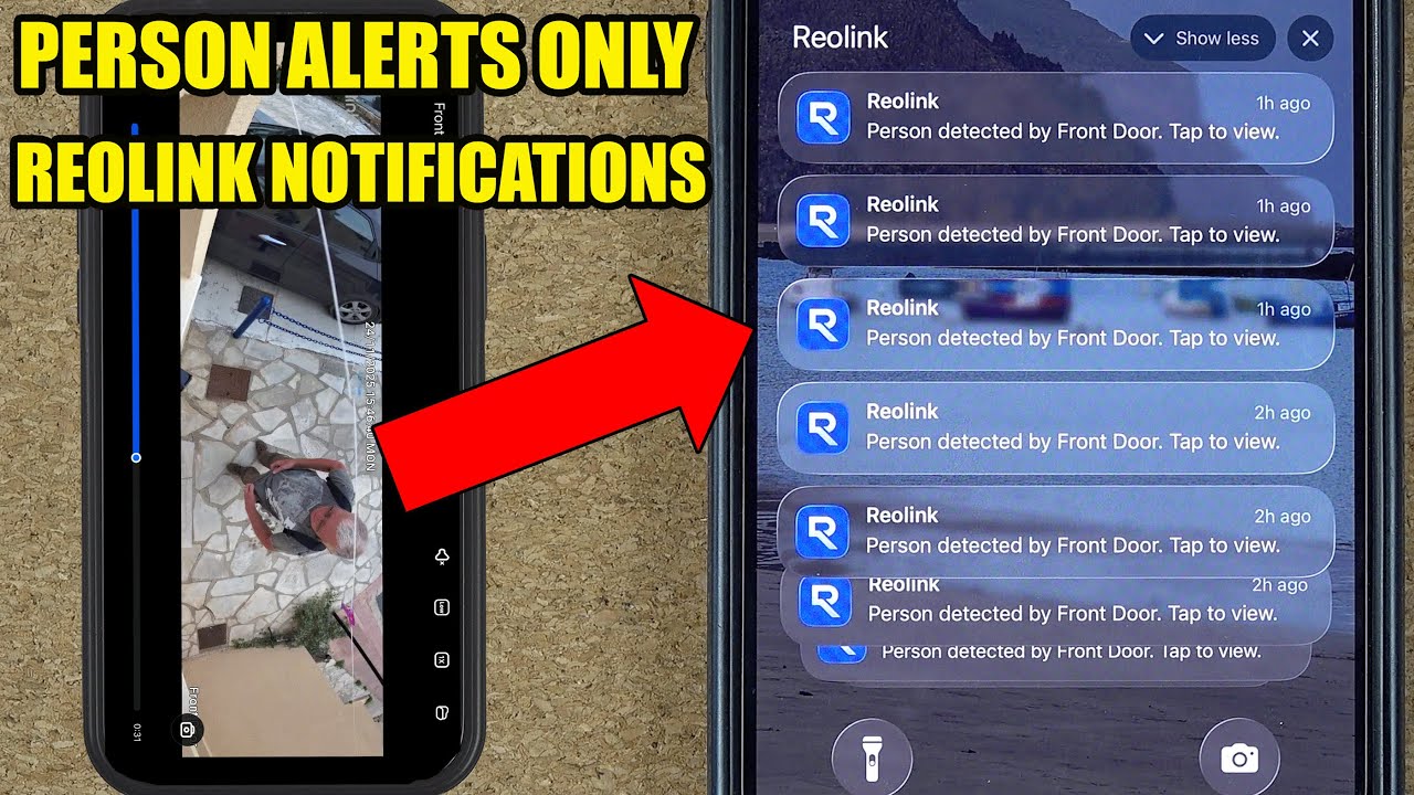 Reolink Person Detection Alerts: How to Get Push Notifications Only for People