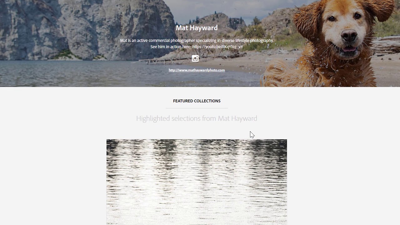 Customize your Adobe Stock contributor public portfolio page