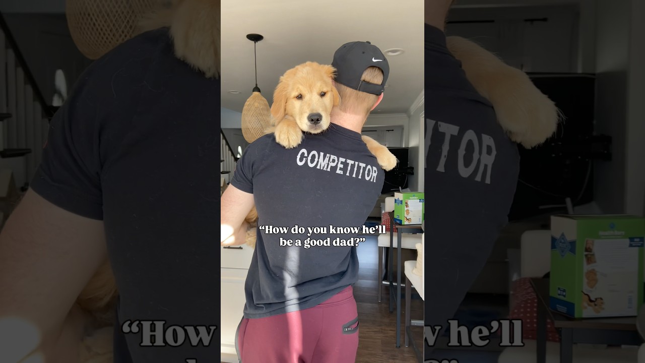 POV: You&rsquo;re Wondering If He&rsquo;ll Be a Good Dad&hellip;