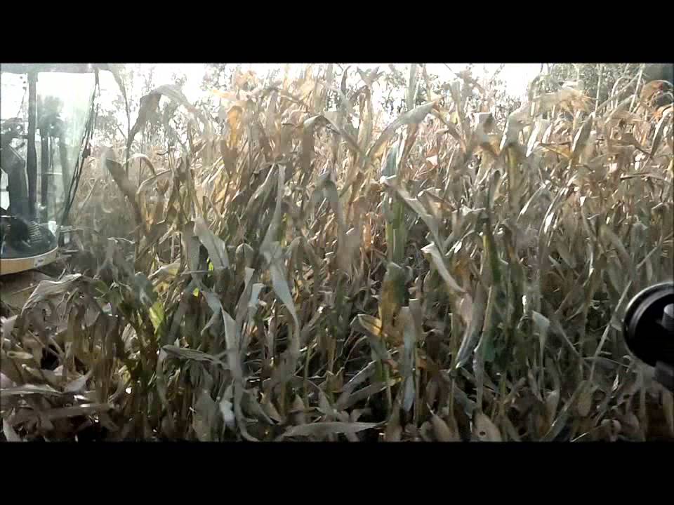Maishakselen 2012 Loonbedrijf G.D. de Vries.wmv