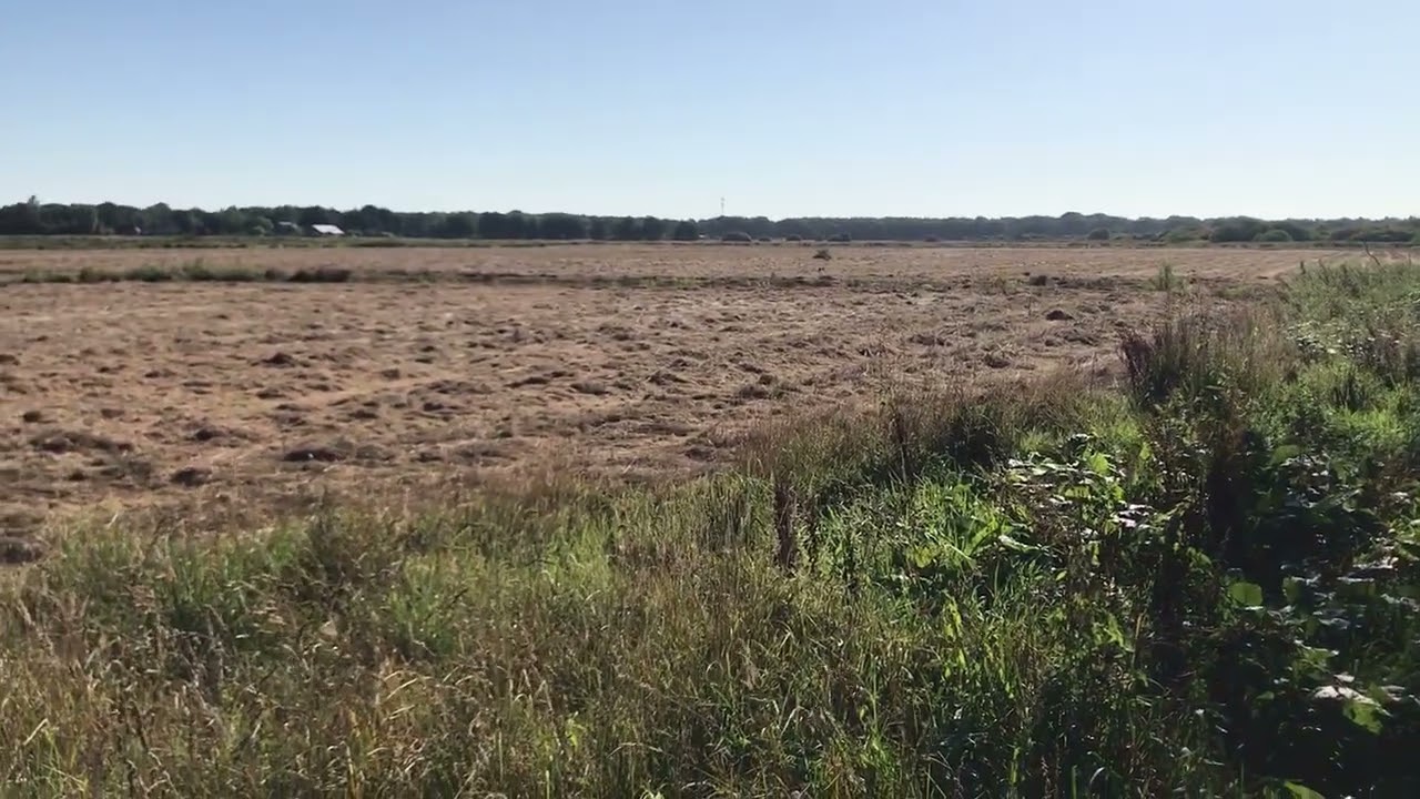zicht over het Reestdal, vanuit IJhorst gezien augustus 2025