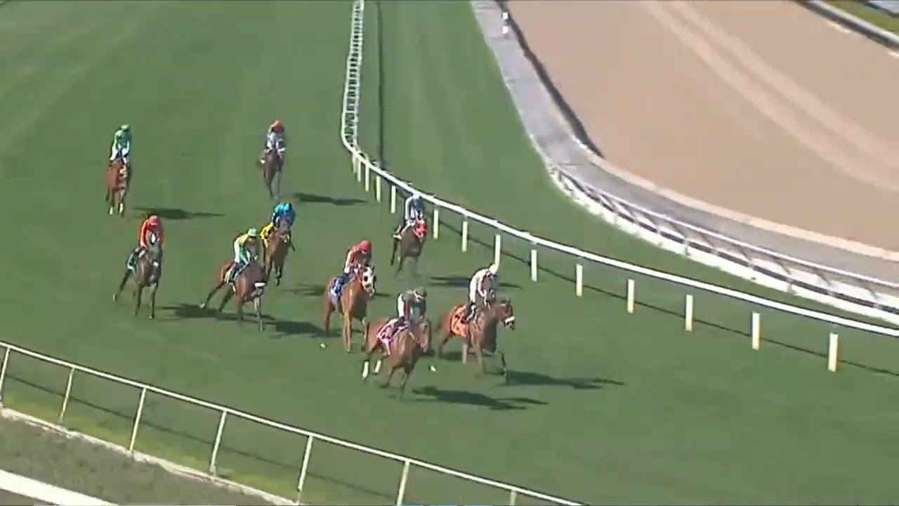 R3 Santa Anita 08 Feb 2026