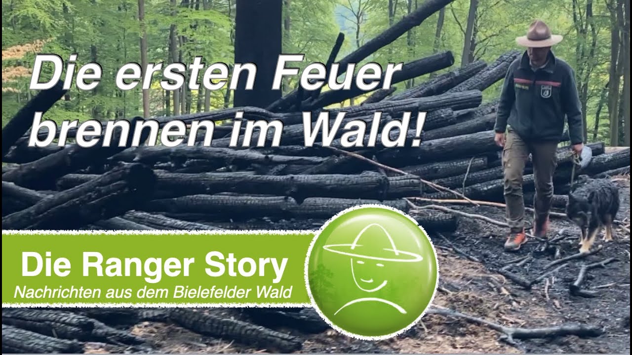 Die ersten Feuer brennen im Wald!