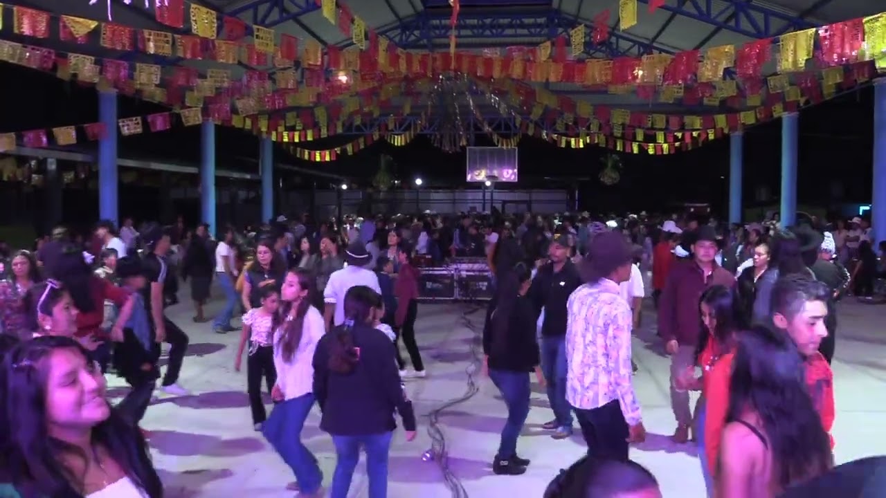 baile de violines en villa sola de bega