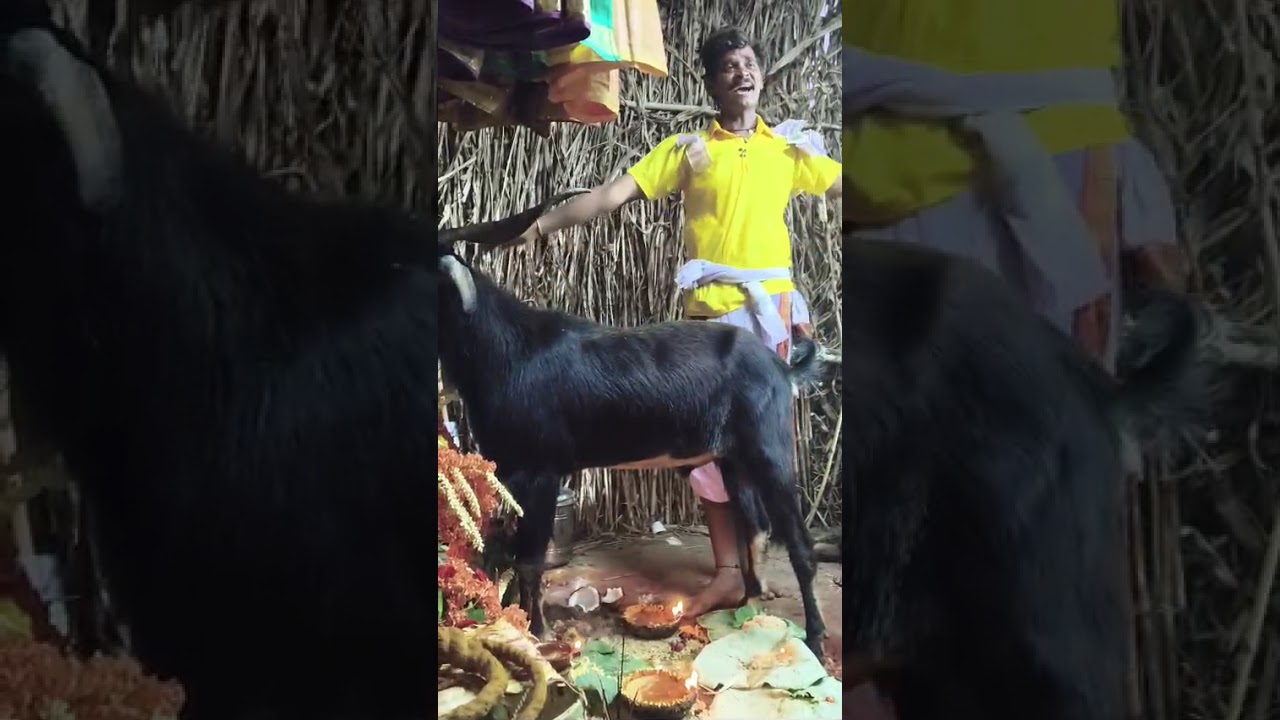 Golla Chaduvu gangadhar gotta Gangamma talli sambaram 