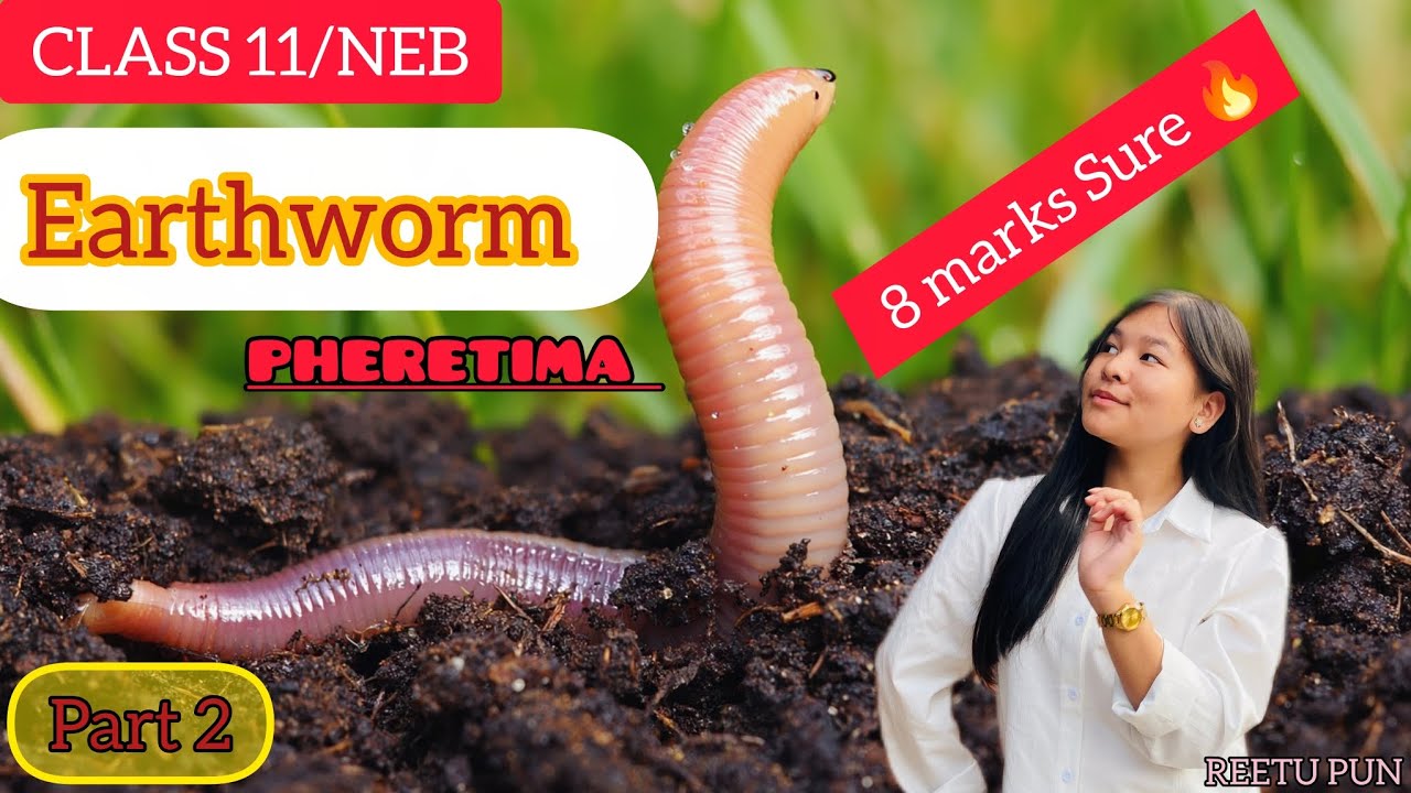 Earthworm(Pheretima)02||Class 11-NEB || Earthworm in Nepali || Reetu Pun 