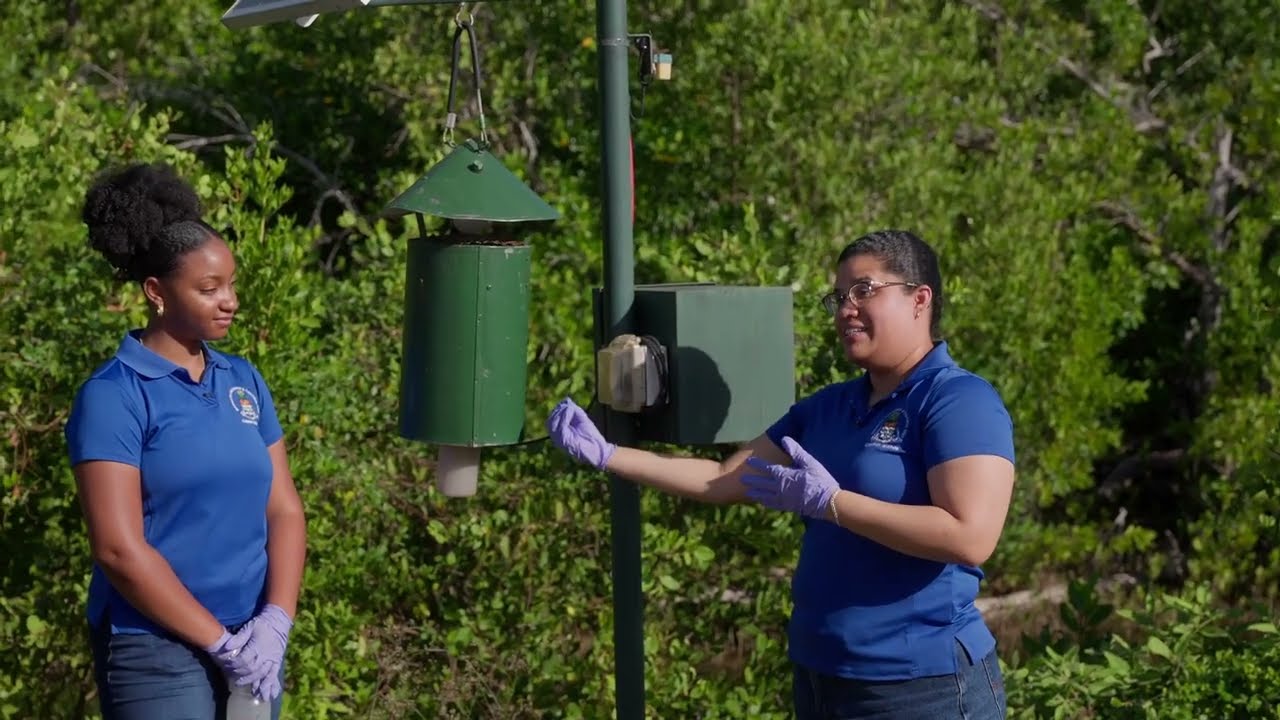 From Trap to Lab: How MRCU Tracks Mosquitoes