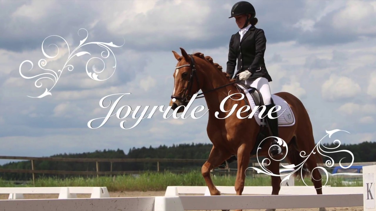 Joyride Gene (SOLD)
