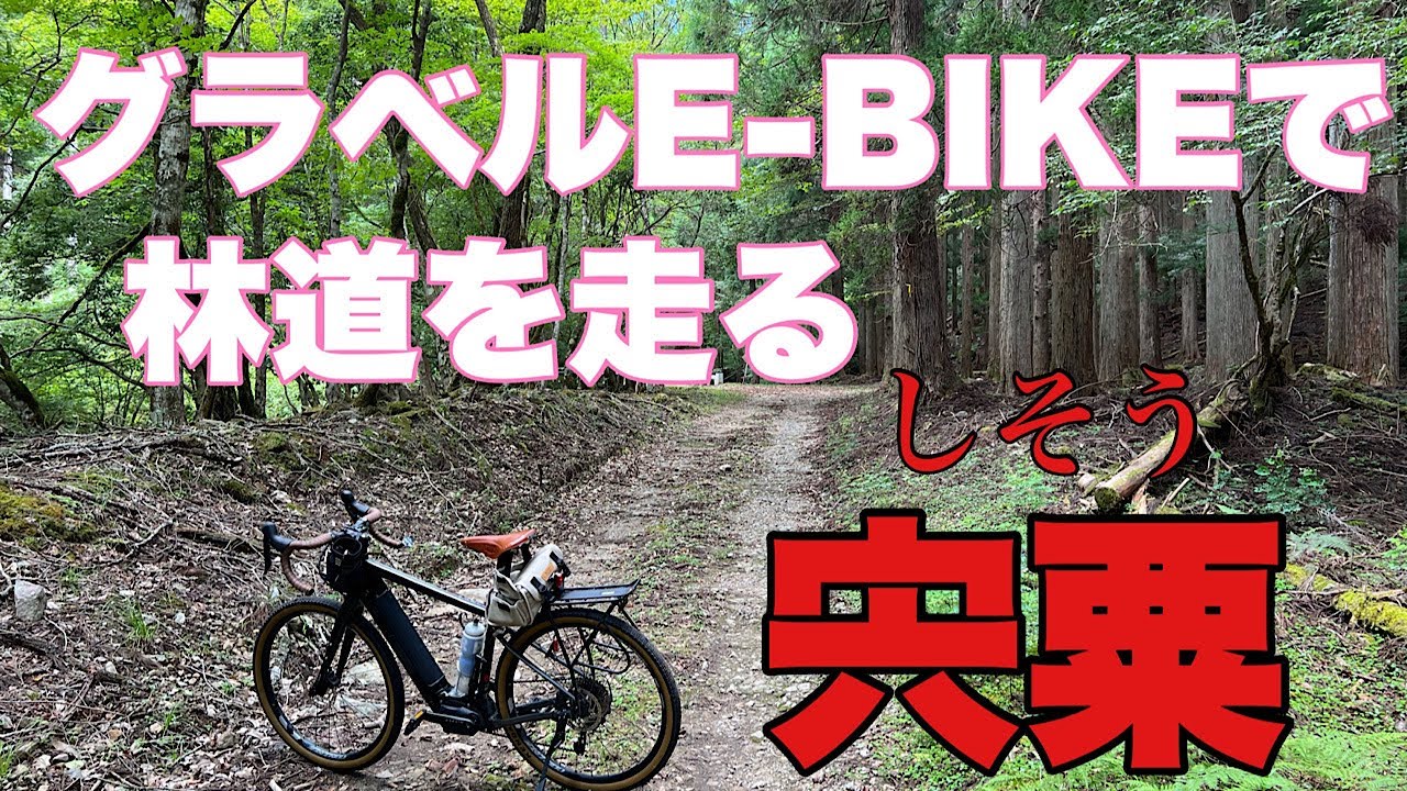 【ROADREX i 6180】グラベルe-bikeで、未舗装路の林道を走りました。最近は、長距離の、しかも通り抜けのできる林道は、なかなか見つけられませんが、面白い未舗装路を見つけました。