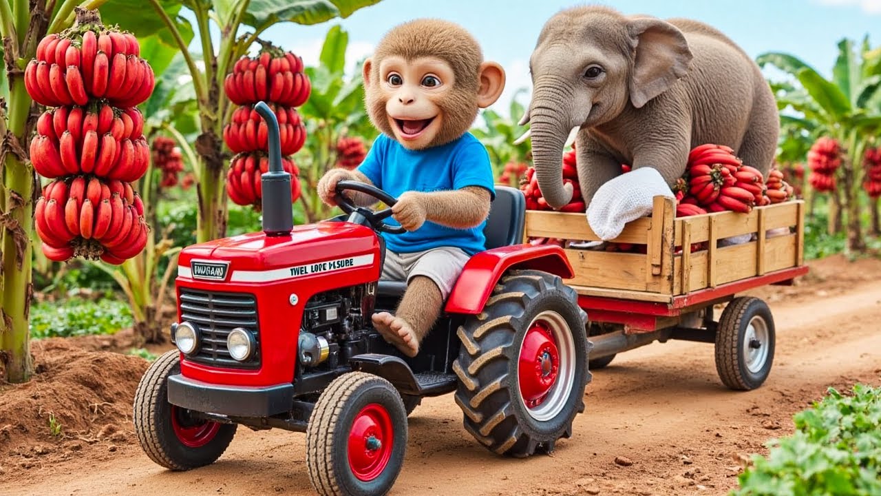 Monkey BoBo’s Red Banana Harvest Turns Urgent—An Elephant Trapped Under a Fallen Tree! 🐘😱