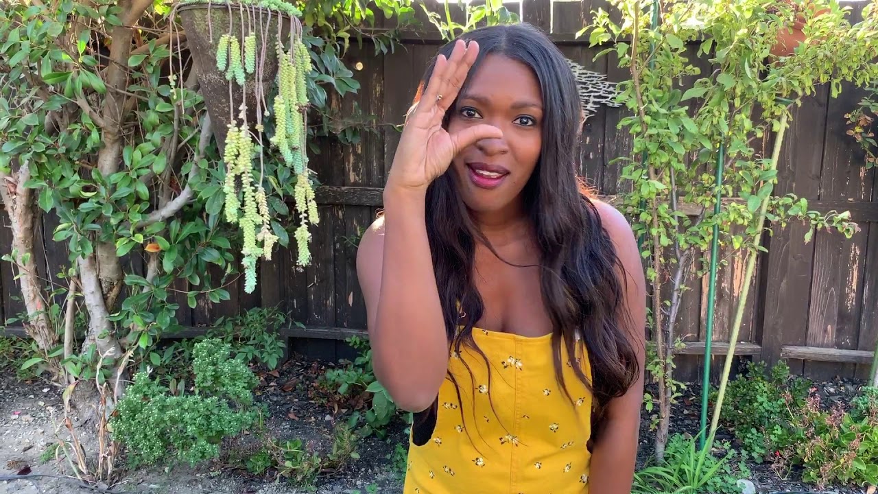 ASL Music Video: Bad Guy by Billie Eilish