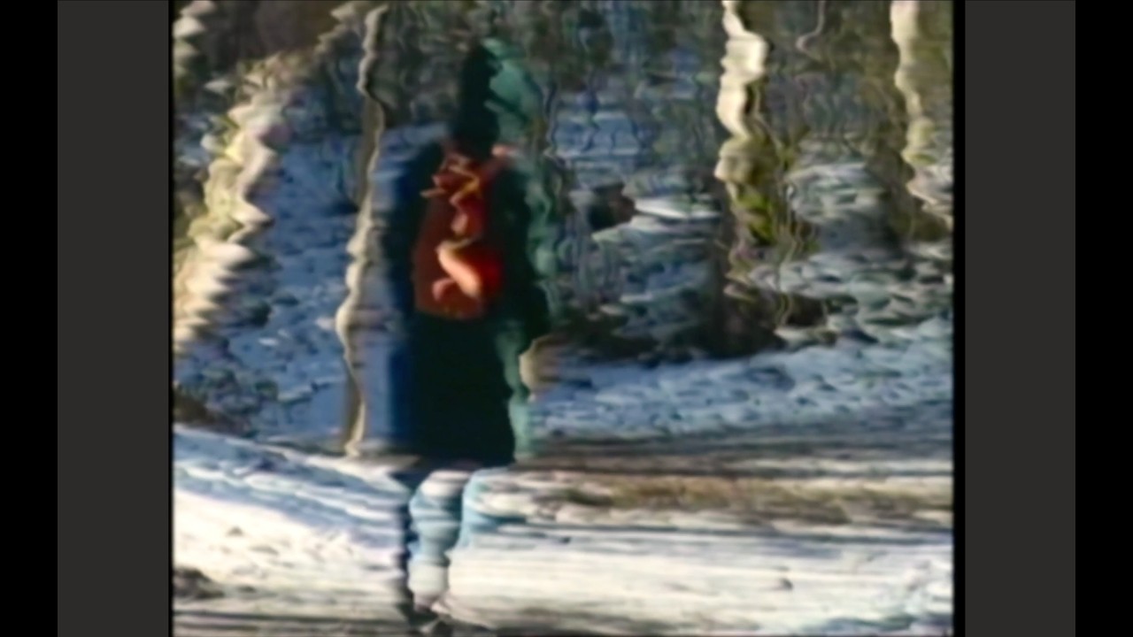 Bibio & Dorian Concept - Lichen Trip (Official Video)