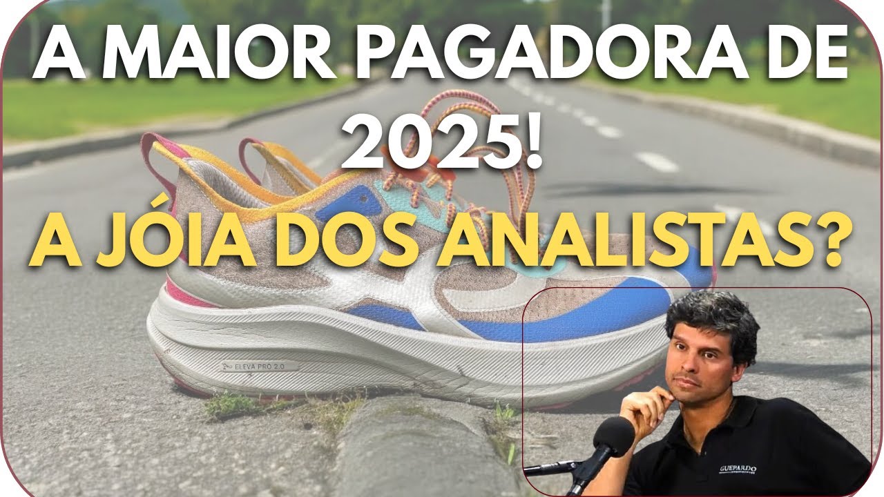 SMALL CAP FAVORITA DOS ANALISTAS? VULCABRAS - Balan&ccedil;os 3T2025: VULC3