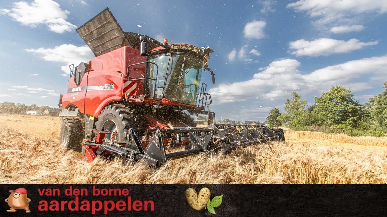 Wheat & Barley harvest 2022