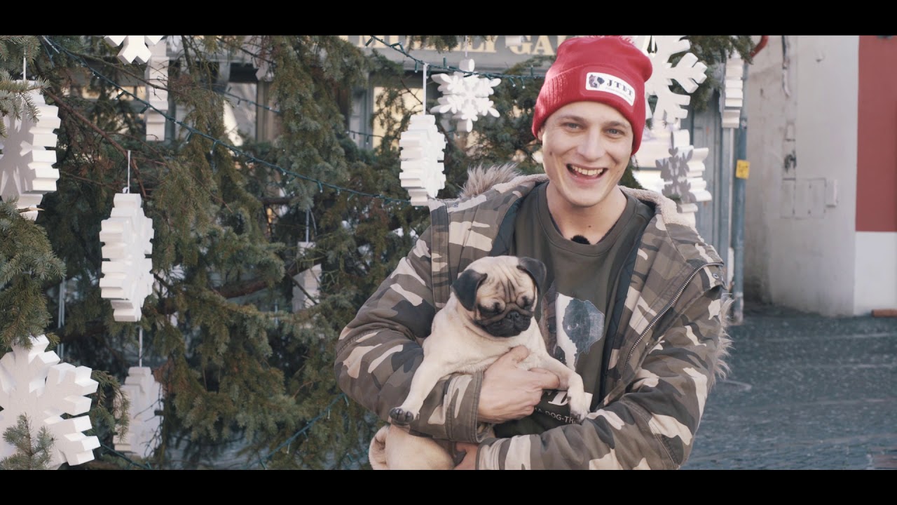 JTDT - Ha szófogadatlan a kiskutyád!