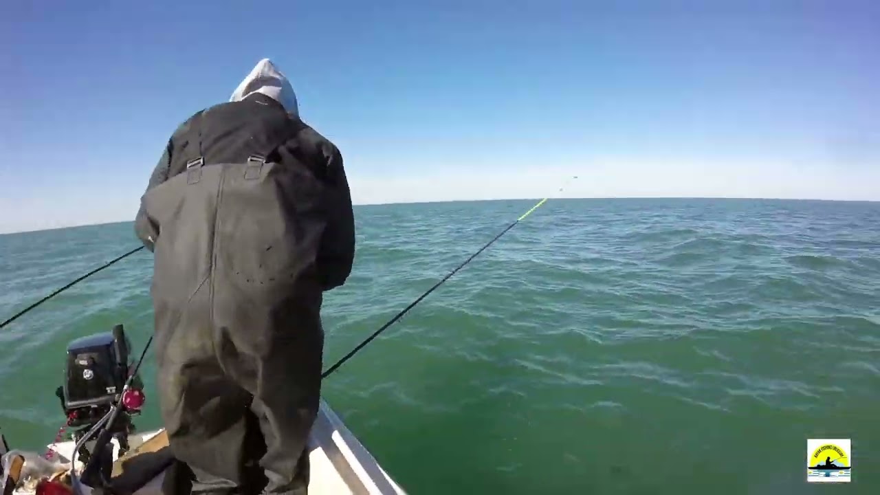 CORVINAS EN PUNTA BALLENA PESCA EMBARCADOS JUEVES 23 /10/2025.