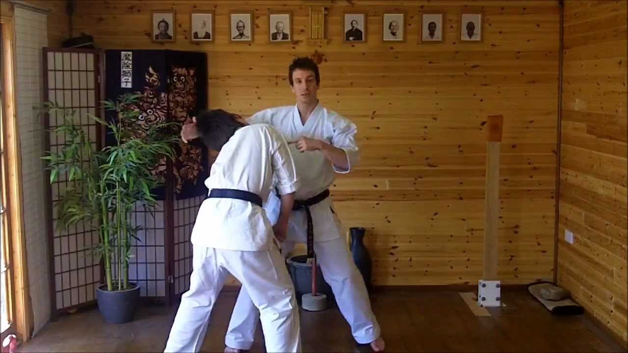 Kata Bunkai Video Tutorial 14 - Passai (Bassai) Kata