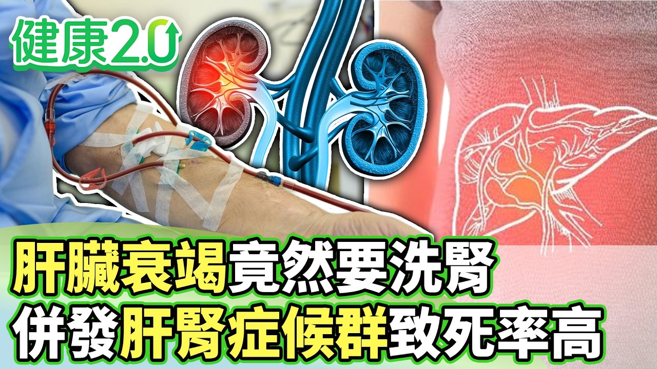 肝臟衰竭竟然要洗腎 併發肝腎症候群致死率高【健康2.0分段】@tvbshealth20  EP3177-2 20260308 #陳欣湄#韋汝#江守山#錢政弘#羅珮琳#雷議宗