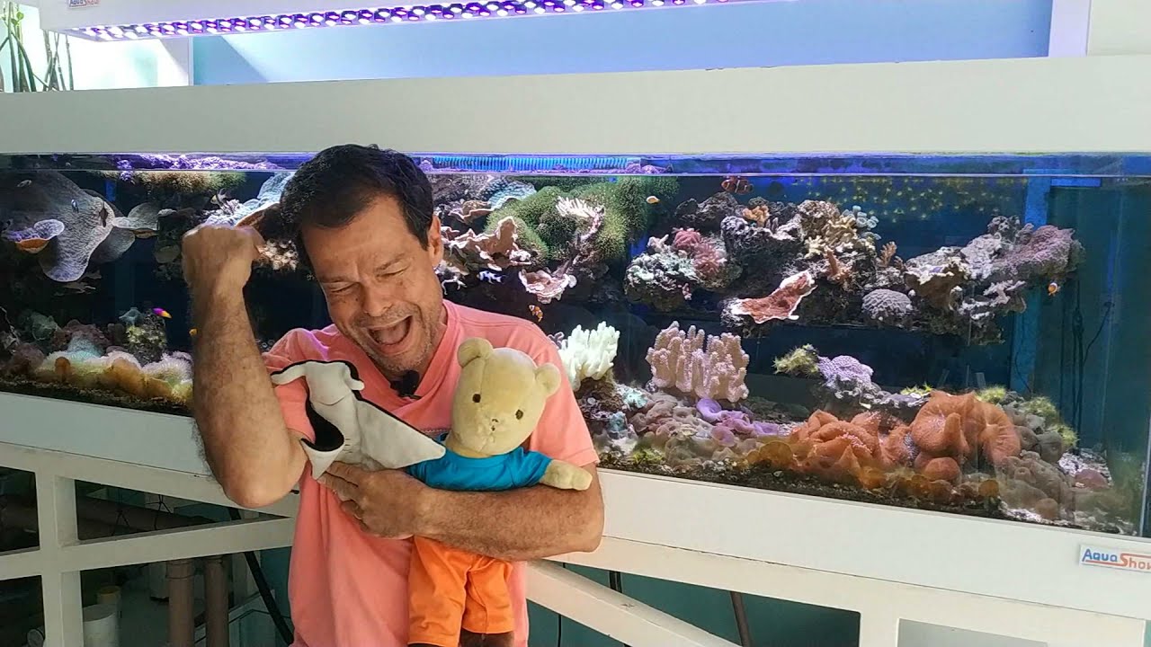 Suplementos Aquashow - Iodo - Aquashow - Parte 190