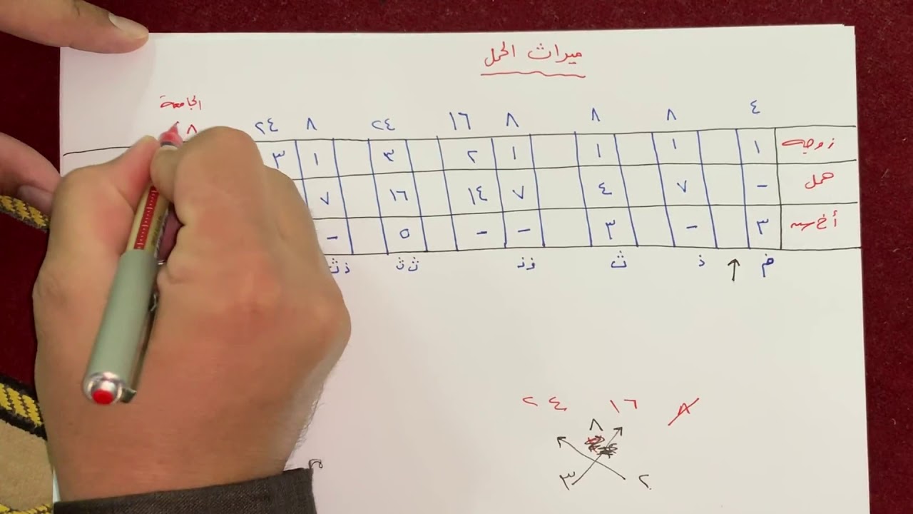دروس قناة فرضيّ_ ميراث الحمل