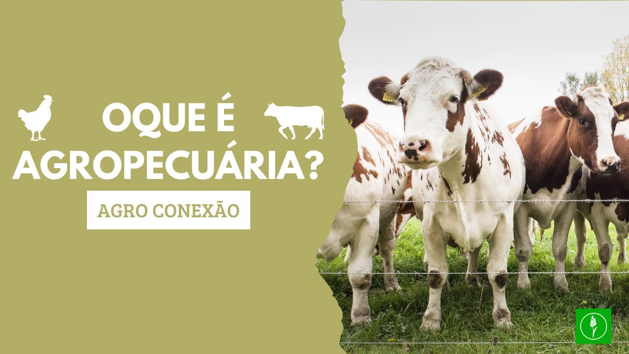 O Que &eacute; Agropecu&aacute;ria? | Entenda Tudo Sobre o Setor Agropecu&aacute;rio