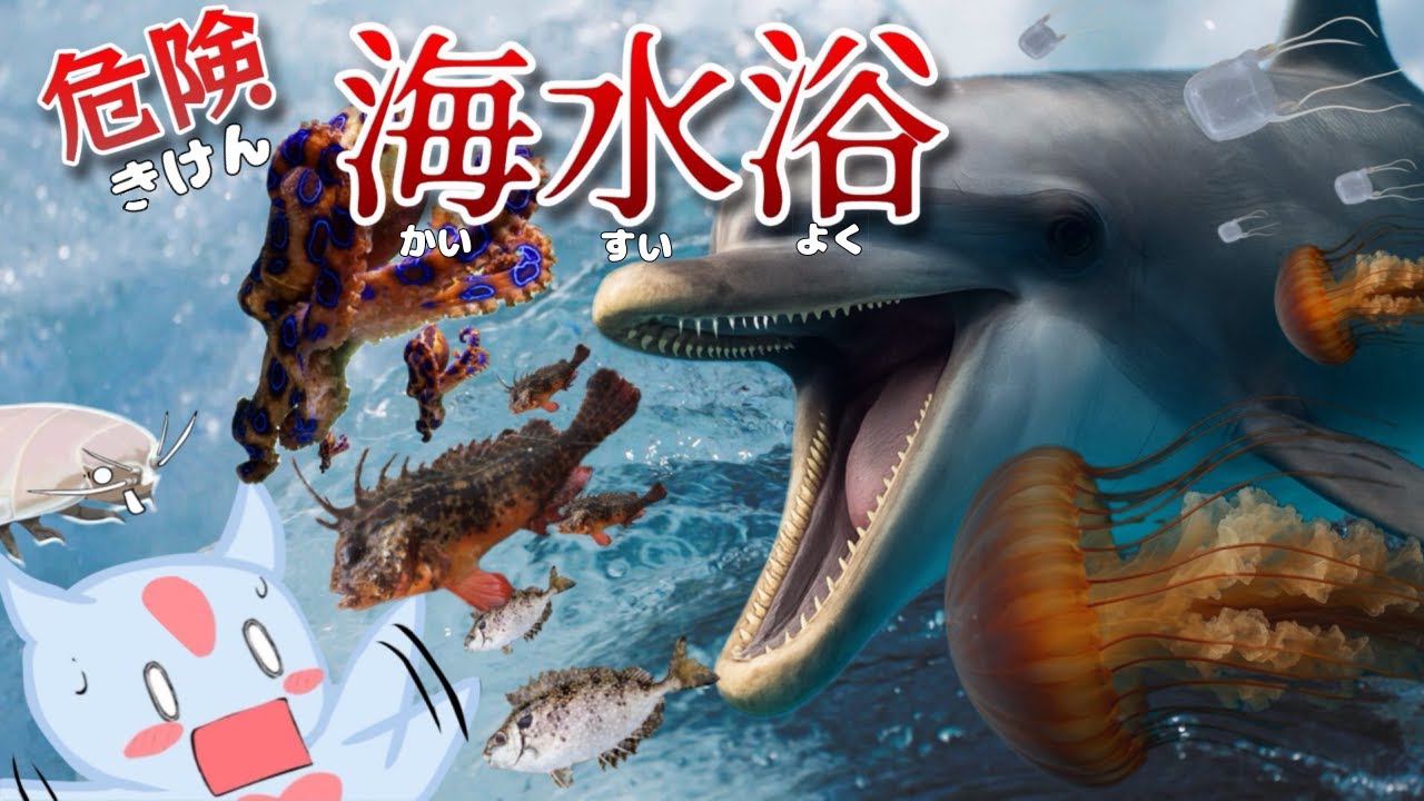 海水浴の危険