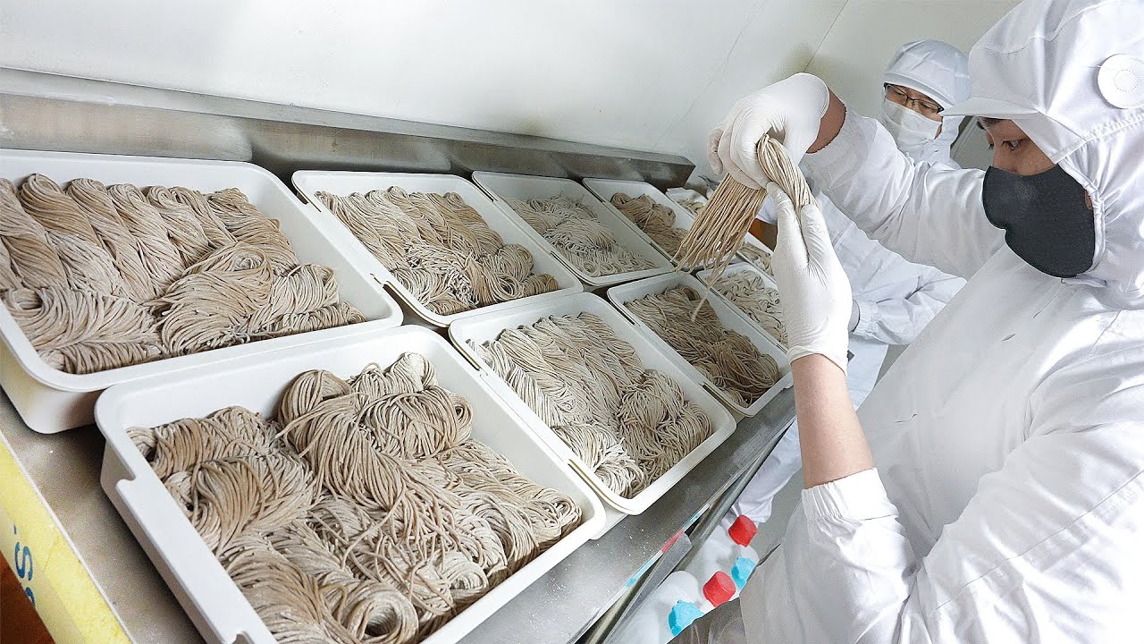 테이블 5개로 월매출 3천! 전국 메밀1인자에게 전수받은 메밀국수와 대파 돈까스┃buckwheat noodles & pork cutlet, Korean street food